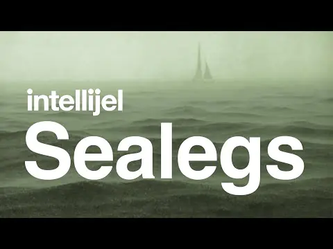Intellijel Designs Sealegs Stereo Delay + Reverb