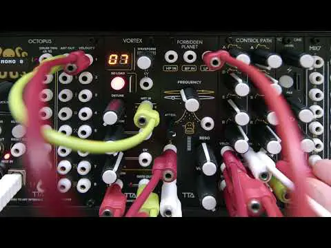 Tiptop Audio Control Path Voice Dynamics