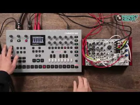 Make Noise LxD Dual Low Pass Gate - 4HP