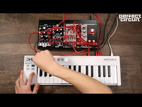 Qu-Bit Electronix Prism Multidimensional DSP