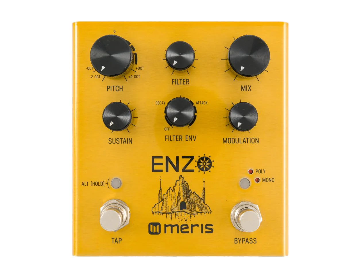 Meris ENZO ギター シンセサイザー Enzo X - Meris