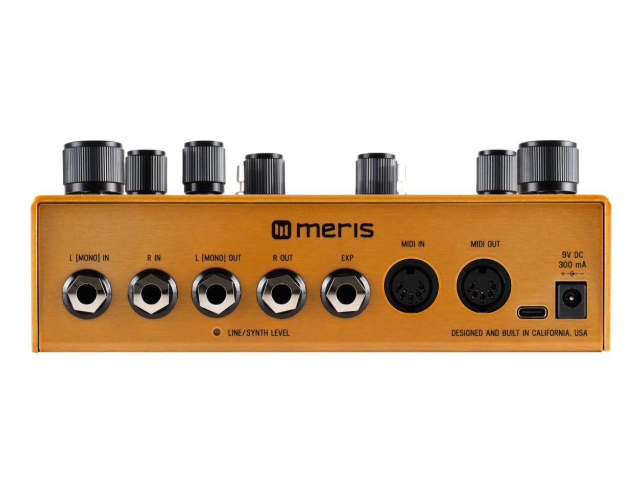Meris Enzo X