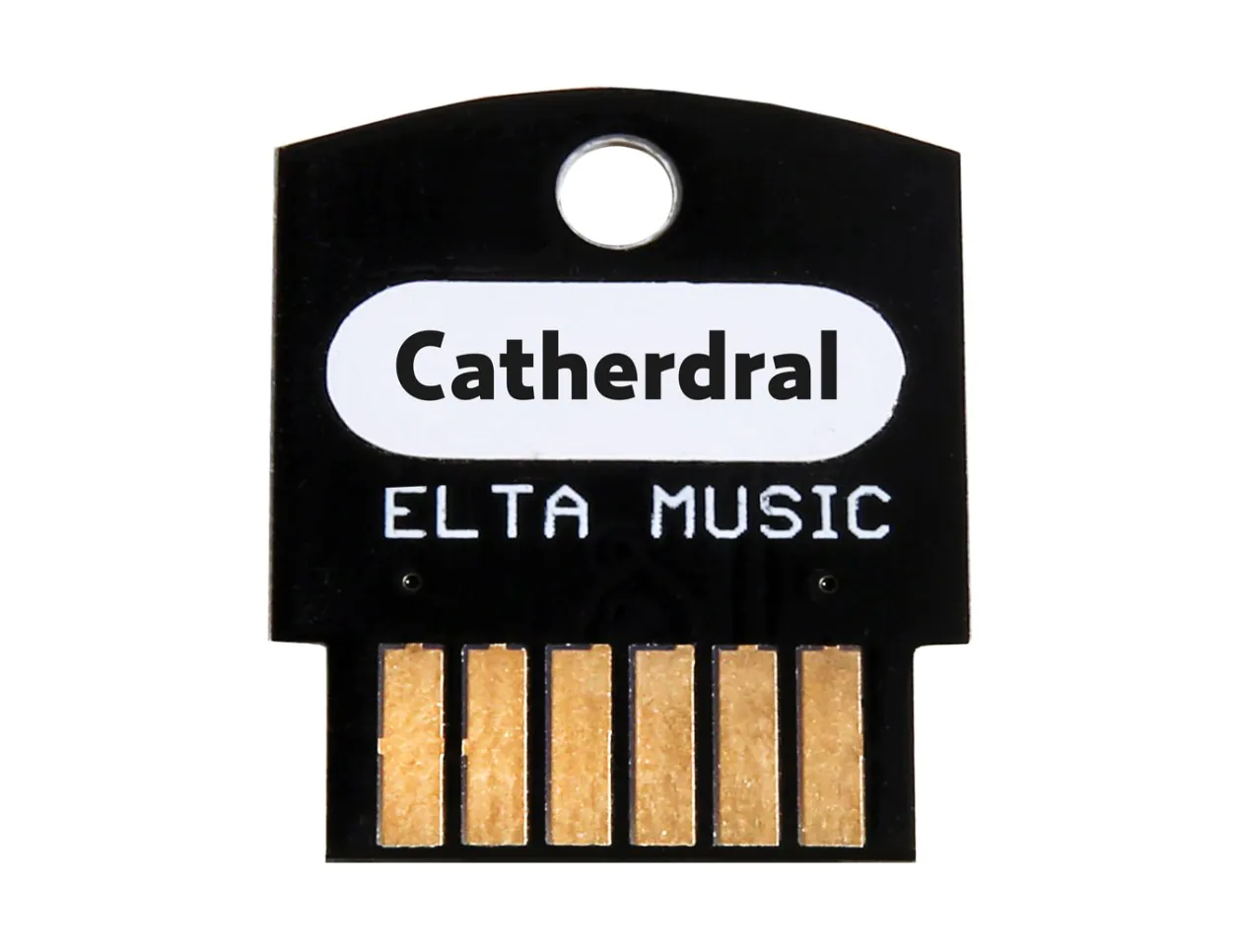 Elta Music Cathedral Cartridge for Console Multi-Effects Pedal front view