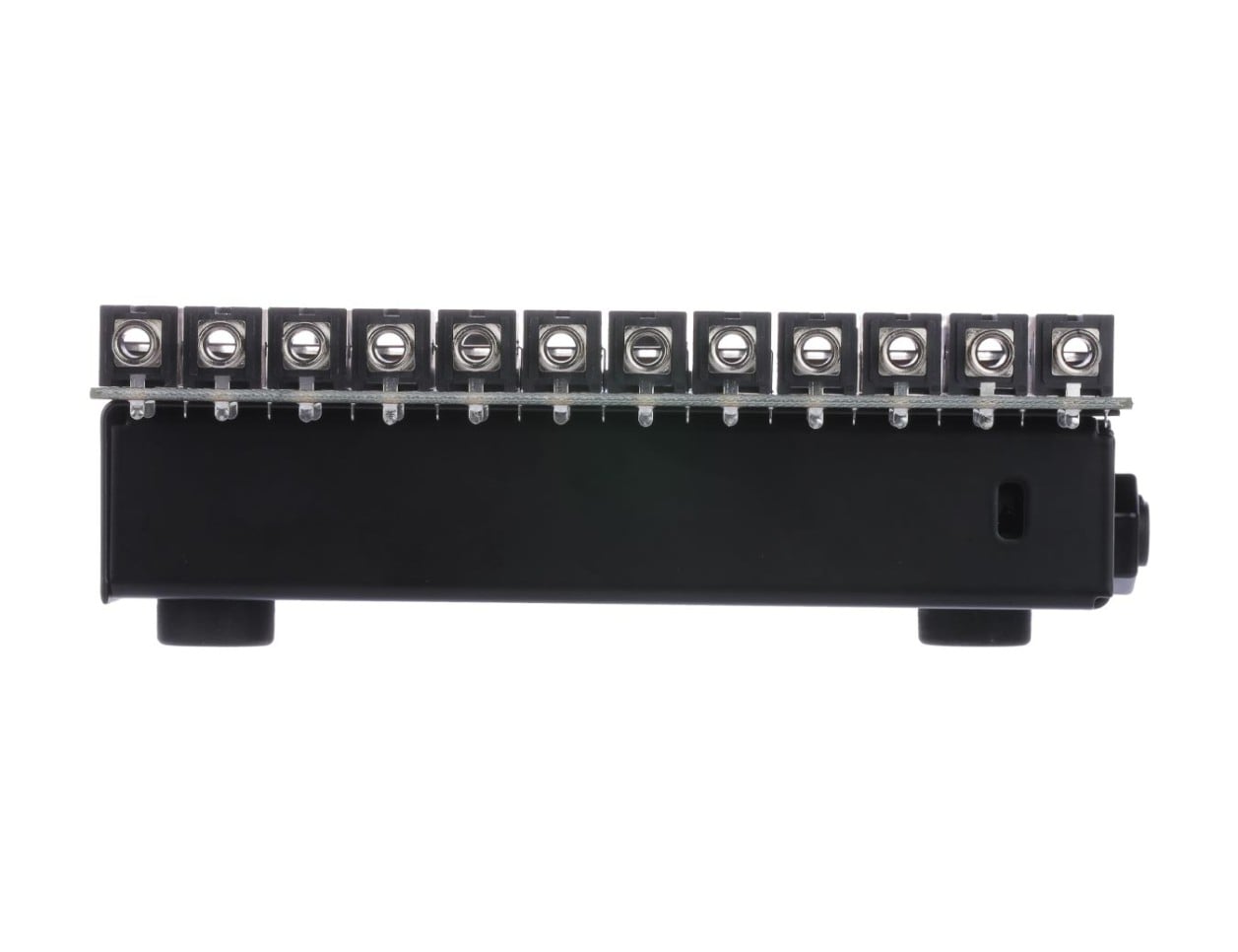Moog Werkstatt 01 Analog Synthesizer Kit