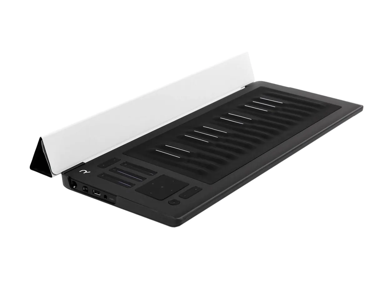Seaboard Rise 25 Flip Case Silver