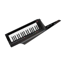 KORG KORG（コルグ） キーターモデル 2 RK-100S KORG RK-100S キーター RK-100S2-BK ブラック 2 鍵盤楽器
