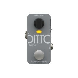ギター tc electronic DITTO+ LOOPER TC Electronic Ditto 2 Looper Pedal
