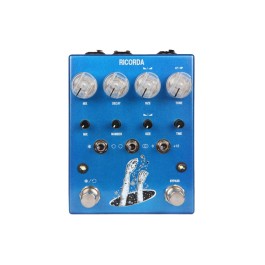 AC Noises Ricorda Stereo Granular Reverb Pedal