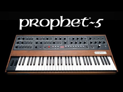 Sequential Prophet-10 Analog Synthesizer Module - Perfect Circuit