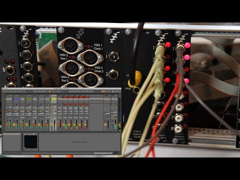 Expert Sleepers ESX-8GT mk3 Gate Expansion - Perfect Circuit