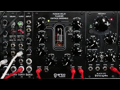 Erica Fusion Delay / Flanger / Chorus - Perfect Circuit
