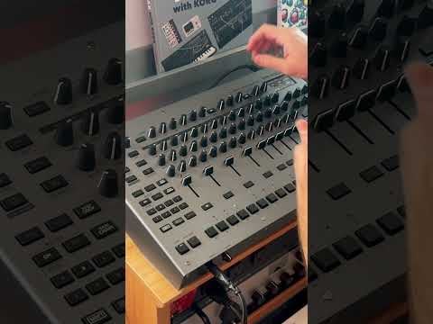 Roland TR-1000 Drum Machine - Perfect Circuit