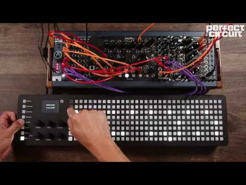 Polyend Seq Multitrack Step Sequencer - Perfect Circuit