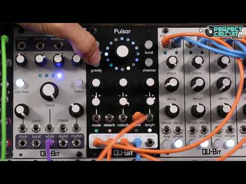 Qu-Bit Pulsar - 14HP - Perfect Circuit