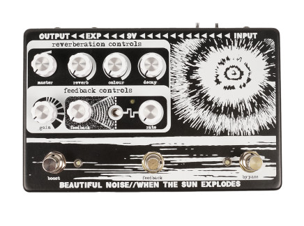 Beautiful Noise Effects When the Sun Explodes Reverb [USED]