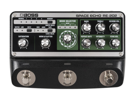 RE-202 Space Echo Pedal