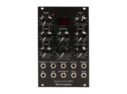Erica Synths Black Hole DSP2 Digital Effects [USED]