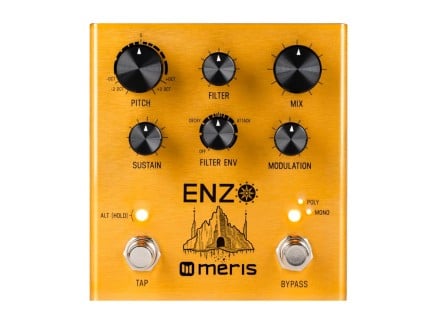 Meris Enzo Stereo Guitar Synthesizer