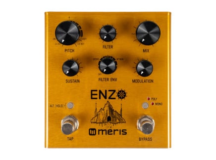 Meris Enzo Stereo Guitar Synthesizer Pedal [USED]