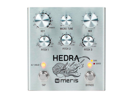 Meris Hedra Rhythmic Pitch Shifter Pedal