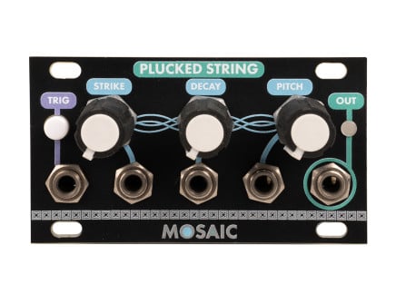 Mosaic Plucked String (Black) [USED]
