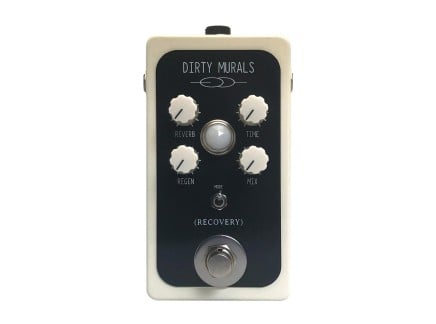 Recovery Dirty Murals V3 Reverb / Delay - Pedal