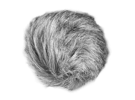 Zoom WSU-1 Universal Windscreen