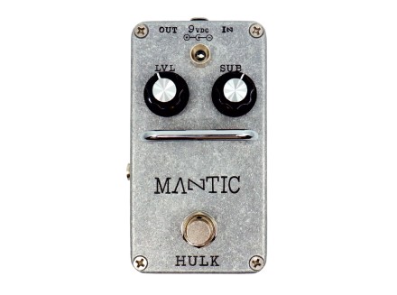 【最終値下げ】MANTIC HULK Mantic_Hulk_01.jpg