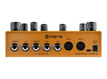る*り様 Meris ENZO X Meris Enzo X