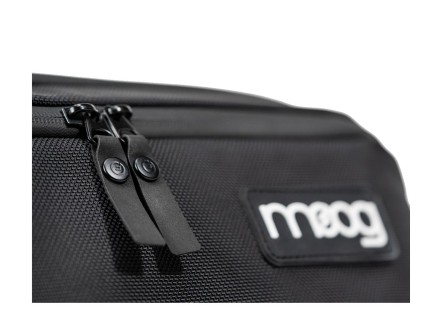 Moog Subsequent 25 SR Series Case