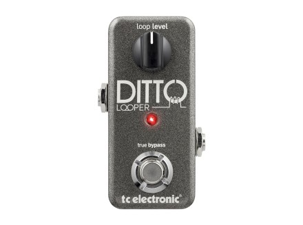 【未使用】tc electronic DITTO+ Looper TC Electronic Ditto Looper Pedal