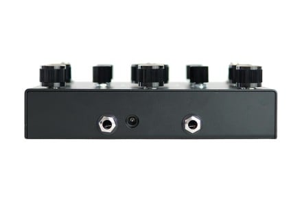 Collision Black Hole Symmetry Delay Reverb Pedal
