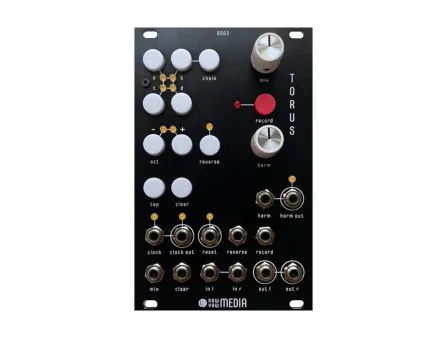 Raw Yaw Media Torus Harmonic Looper