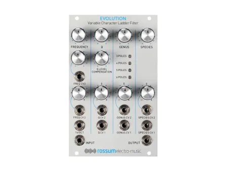 Evolution Variable Character Ladder Filter