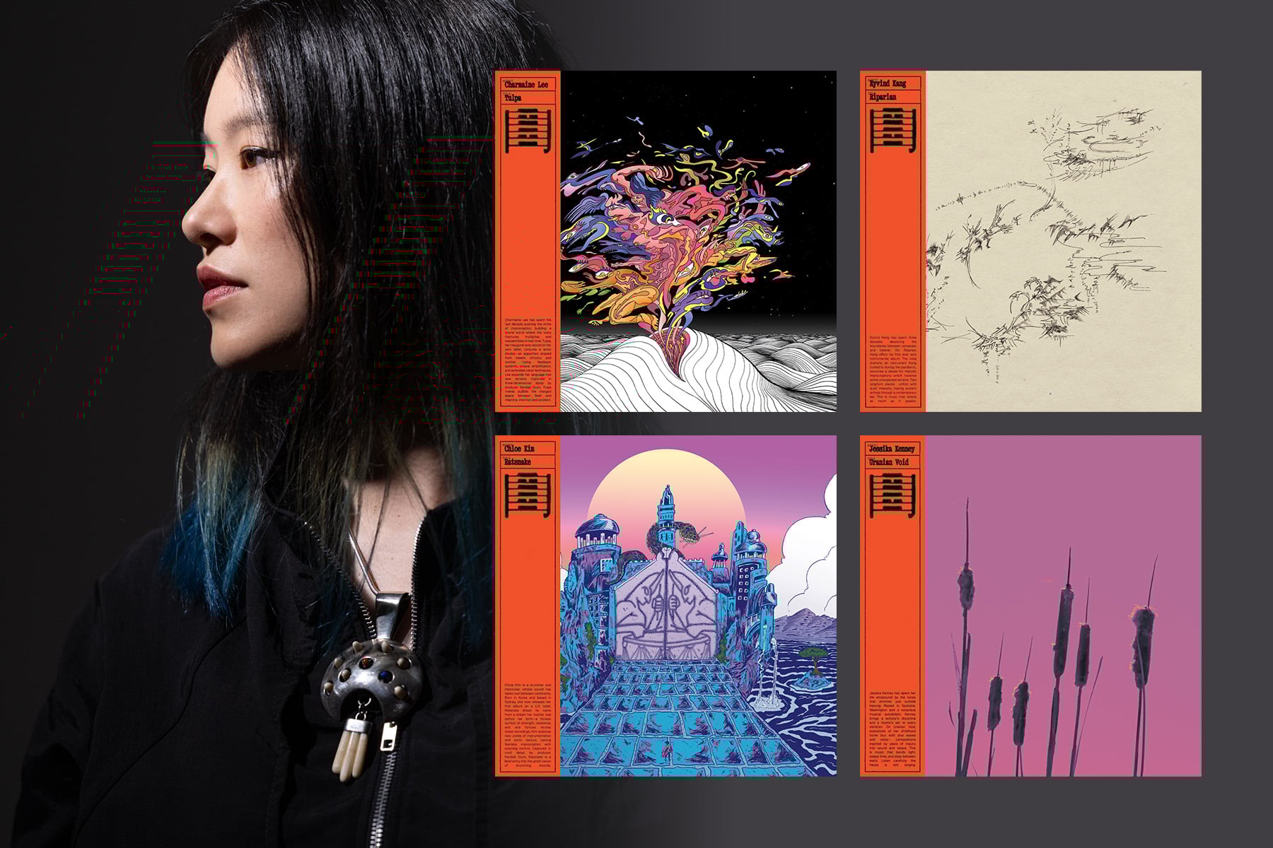 Knobula Kickain Eurorack Module Review - Perfect Circuit