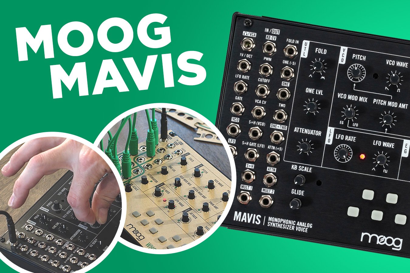 Moog Mavis