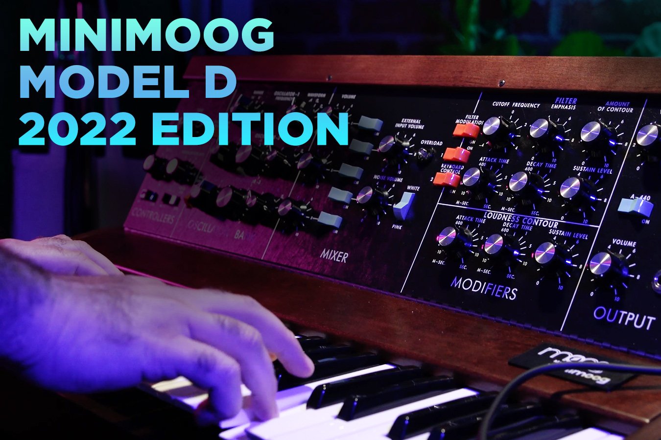 Moog Model D